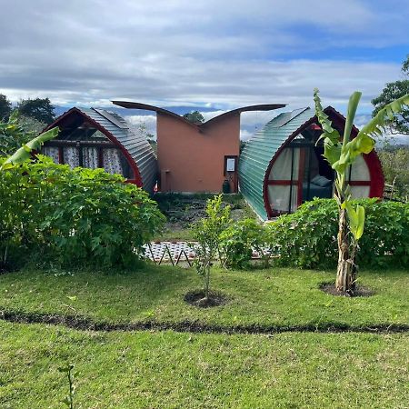 ホテル Glamping Campo Alegre カルタゴ エクステリア 写真