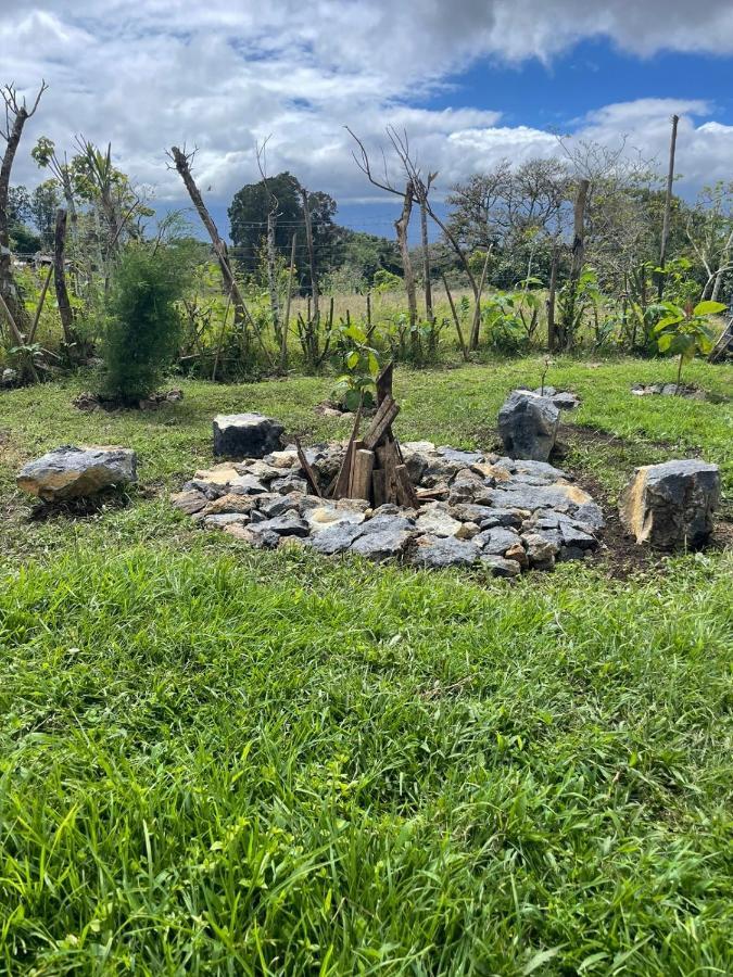 ホテル Glamping Campo Alegre カルタゴ エクステリア 写真
