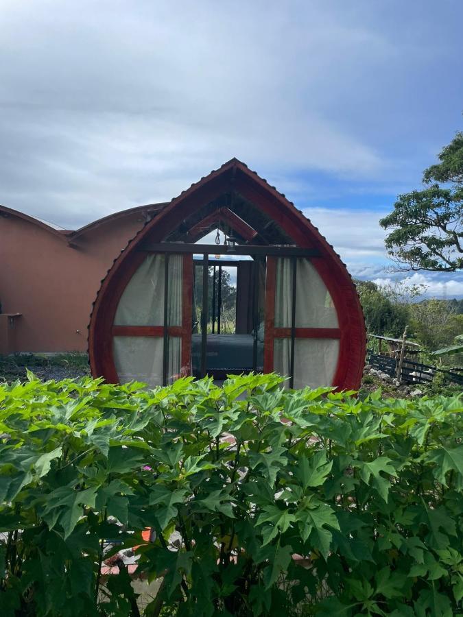ホテル Glamping Campo Alegre カルタゴ エクステリア 写真